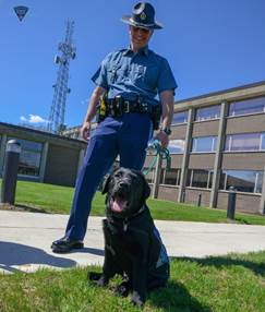 Massachusetts State Police introduce Luna, the agency's first ever comfort dog.